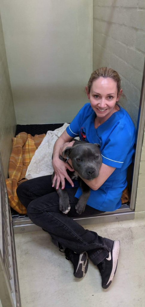 About Us | Camden Valley Animal Hospital